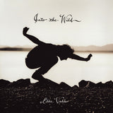 Eddie Vedder - Into the Wild Vinyl